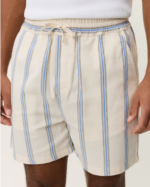 Lawson Stripe Shorts (7)