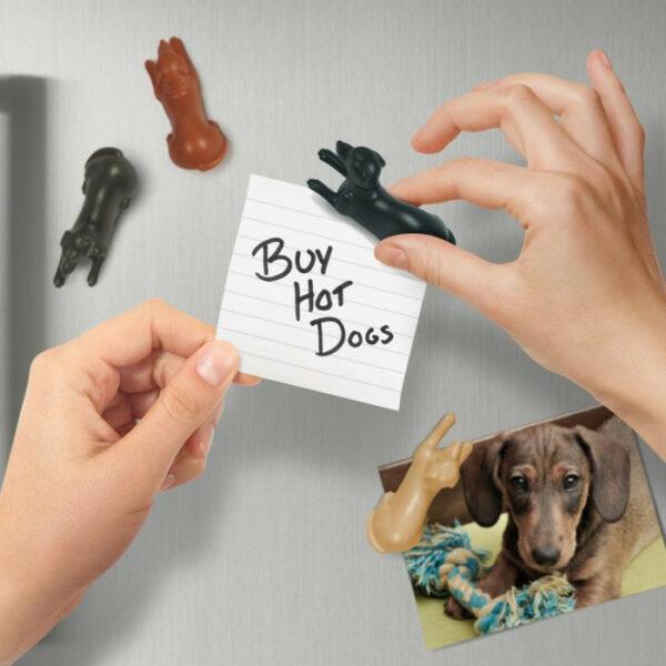 Magnetipups - Dog Magnets, Set Of 4 2
