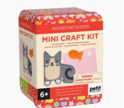 Mini Craft Kit Pocket Pet Kitten