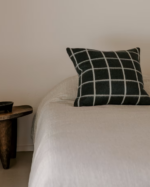 Onsen Throw Pillow (7)