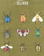 Rill Bug Print T-shirt (2)