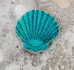 Seashell Scrub Sponges, Set Of 2 1
