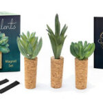 Succulent Magnet Set
