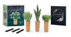 Succulent Magnet Set