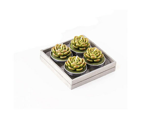 Succulent Tealight Candles, Set Of 4 1