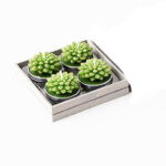 Succulent Tealight Candles, Set Of 4