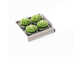 Succulent Tealight Candles, Set Of 4