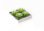 Succulent Tealight Candles, Set Of 4 3