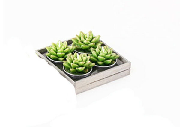 Succulent Tealight Candles, Set Of 4 3