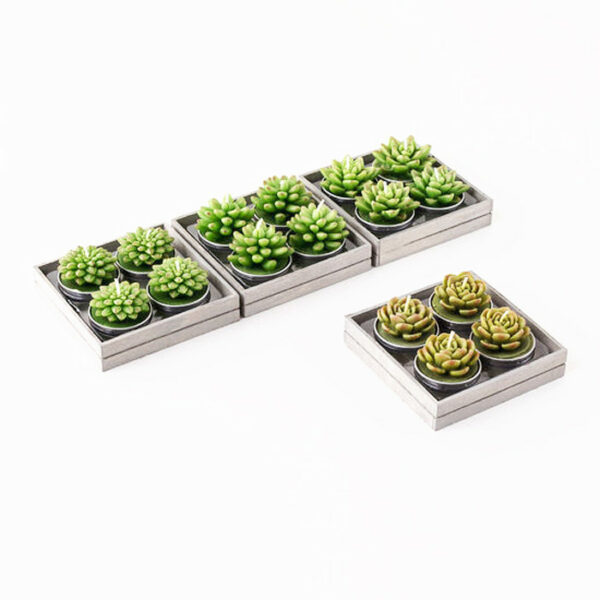 Succulent Tealight Candles, Set Of 4 4