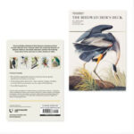 The Birdwatcher's Deck