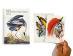 The Birdwatcher's Deck 2