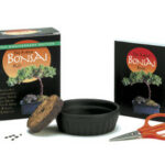 The Mini Bonsai Kit