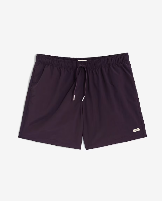 The Solid Swim Trunk (1)