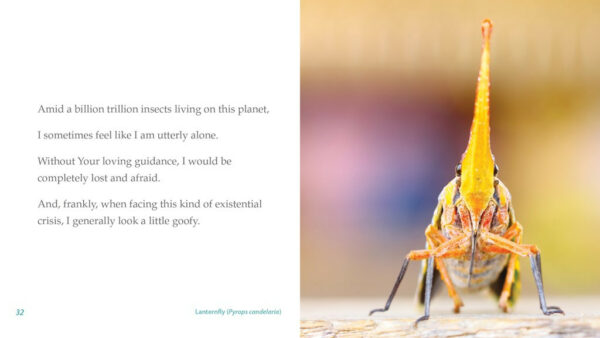 The World Is Great, And I Am Small 1