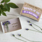 Thinking Of You Roses In A Matchbox 4