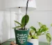 A personalized gardening gift of an orchid in a plant pot. The pot is decorated with a decal that reads &quot;Thank you for helping me bloom.&quot;