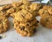 alt text: Close-up of a chocolate chip cookie with oats