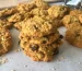 alt text: Close-up of a chocolate chip cookie with oats