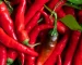 cayenne peppers in green produce pint container