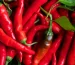 cayenne peppers in green produce pint container