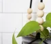 Easy DIY Modern Macrame Planter Tutorial